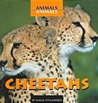 Cheetahs (Library Binding)