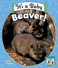 Its a Baby Beaver! (Library Binding)