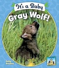 Its a Baby Gray Wolf (Library Binding)