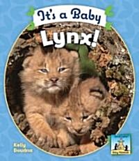 Its a Baby Lynx! (Library Binding)