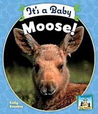 Its a Baby Moose! (Library Binding)