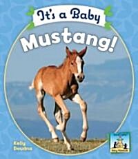 Its a Baby Mustang! (Library Binding)