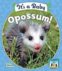 Its a Baby Opossum! (Library Binding)