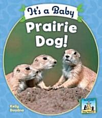 Its a Baby Prairie Dog! (Library Binding)
