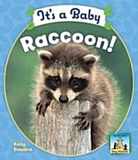 Its a Baby Raccoon! (Library Binding)