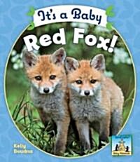 Its a Baby Red Fox! (Library Binding)
