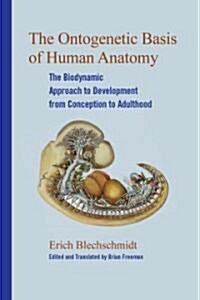 The Ontogenetic Basis of Human Anatomy: A Biodynamic Approach to Development from Conception to Birth (Hardcover)