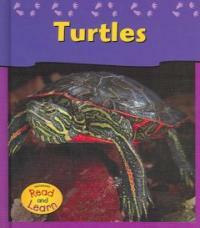 Turtles (Library) - Pets at my House