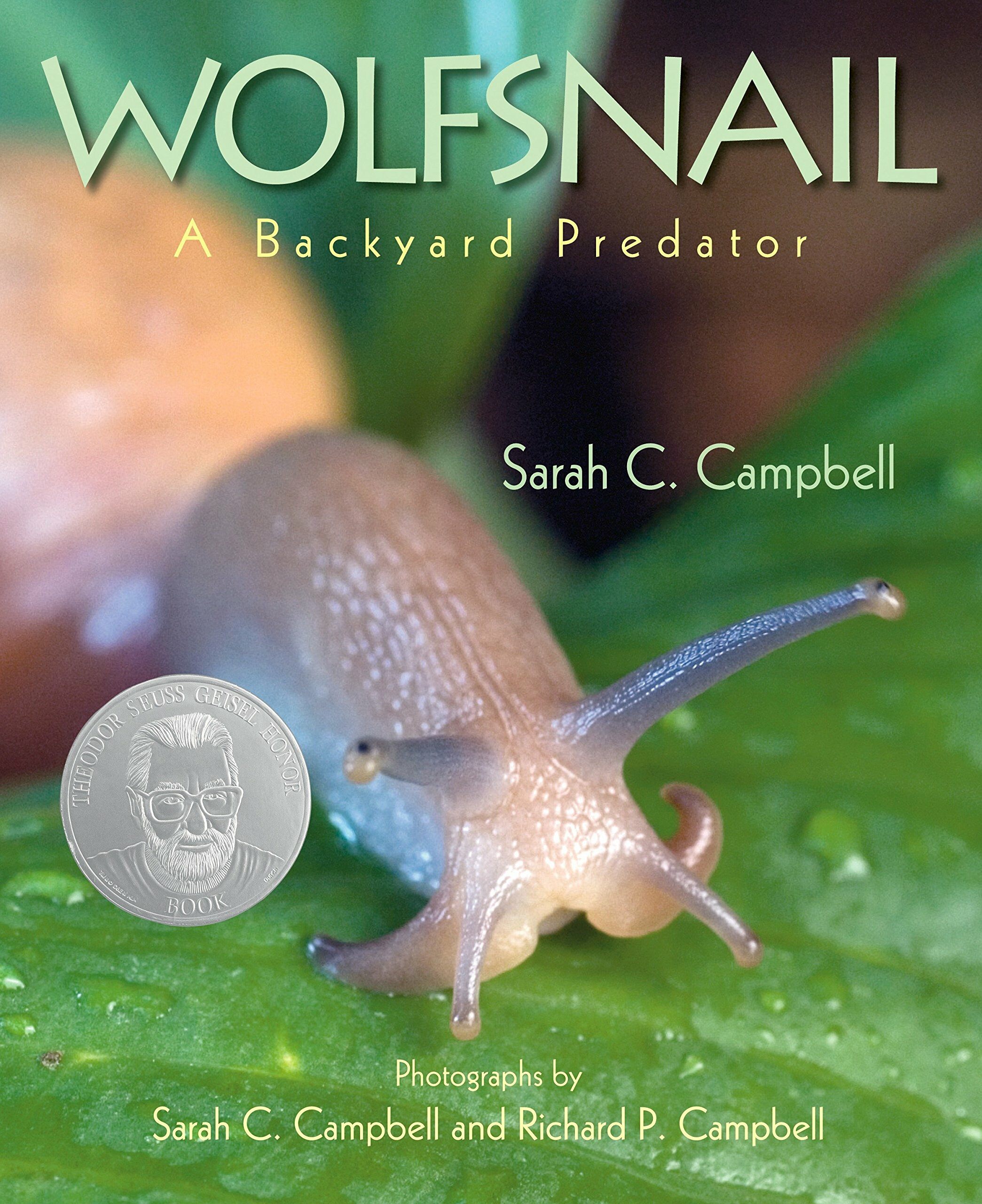 Wolfsnail: A Backyard Predator (Hardcover)