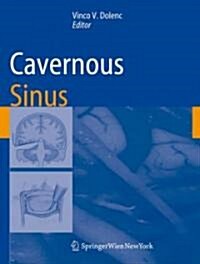 Cavernous Sinus: Developments and Future Perspectives (Hardcover, 2009)