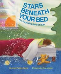 Stars beneath your bed(The)surprising story of dust 표지이미지