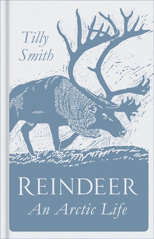 Reindeer : An Arctic Life (Hardcover)