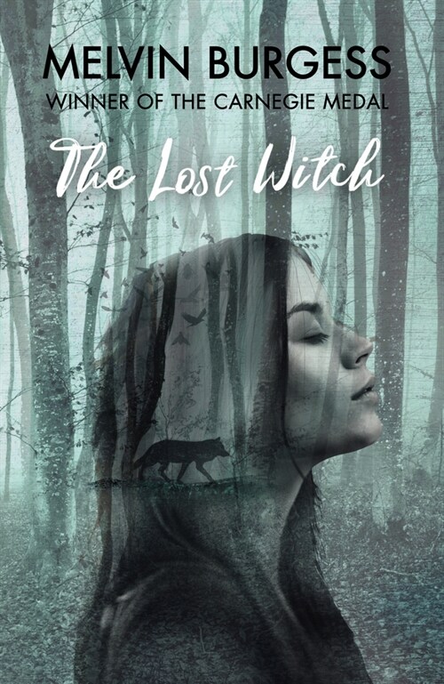 The Lost Witch (Hardcover)
