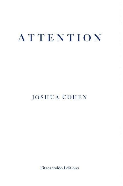 ATTENTION : Dispatches from a Land of Distraction (Paperback)