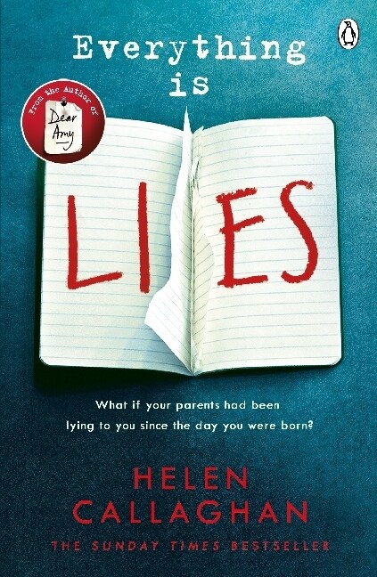 Everything Is Lies : From the Sunday Times bestselling author of Dear Amy (Paperback)