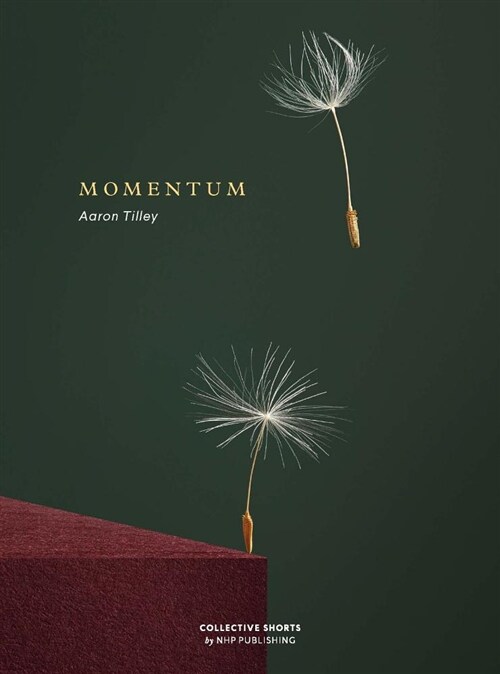 MOMENTUM (Hardcover)