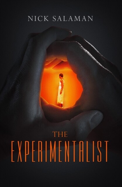 The Experimentalist (Paperback)