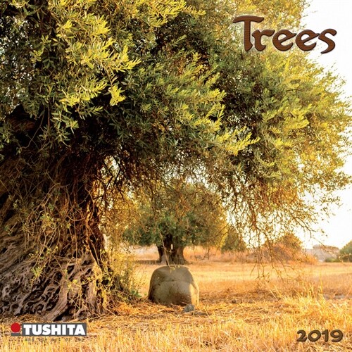 Trees 2019 (Calendar)