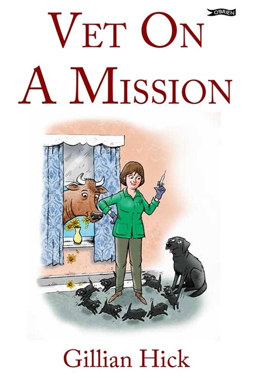 Vet On A Mission (Paperback)