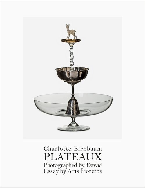 Charlotte Birnbaum : Plateaux (Paperback)