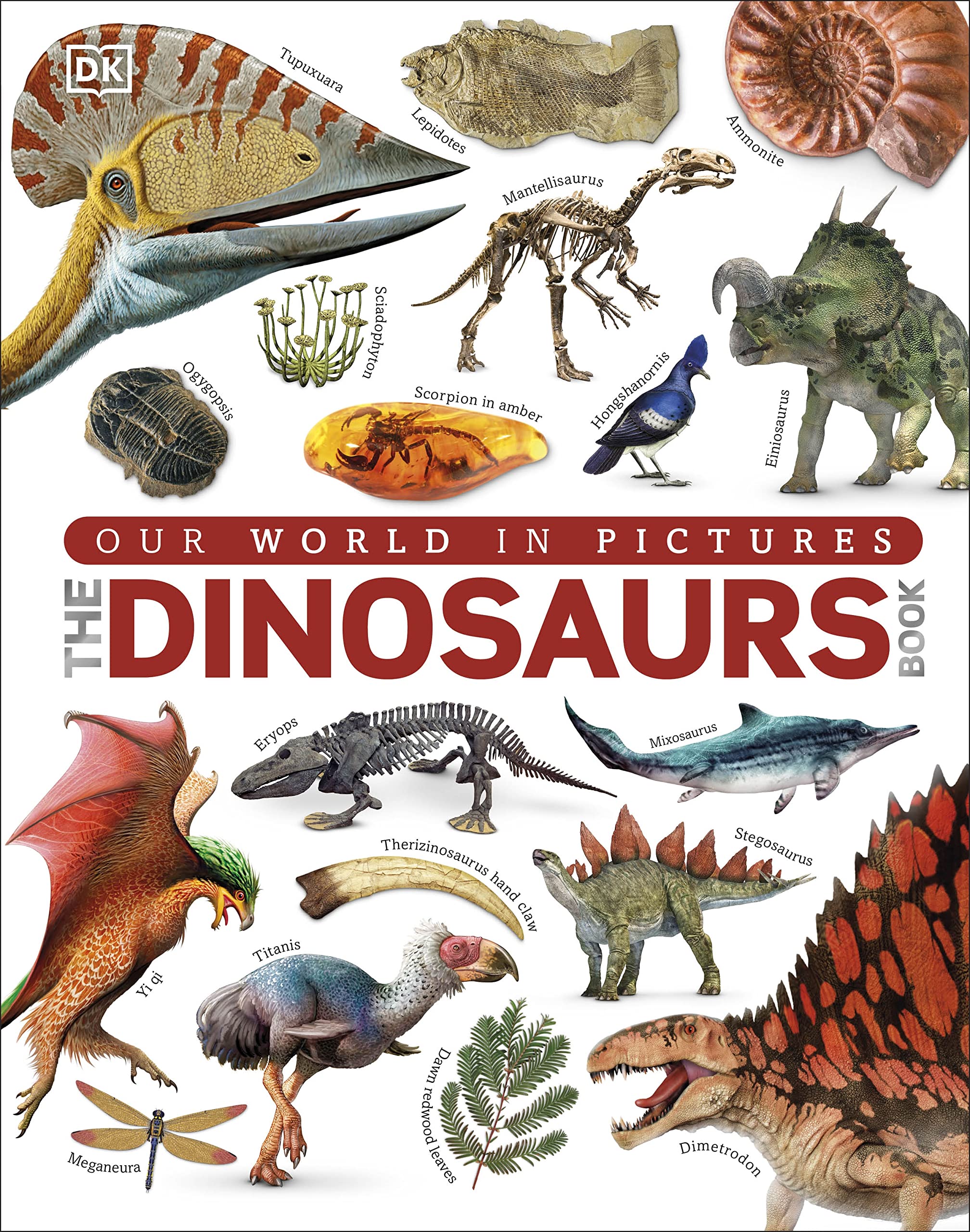 Our World in Pictures The Dinosaurs Book (Hardcover)
