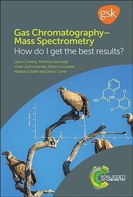 Gas Chromatography–Mass Spectrometry : How Do I Get the Best Results? (Paperback)
