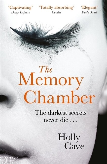 The Memory Chamber (Paperback)