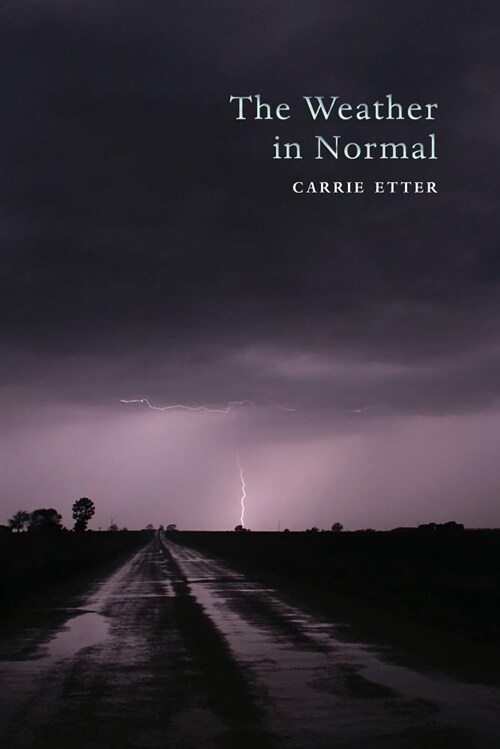 The Weather in Normal (Paperback)