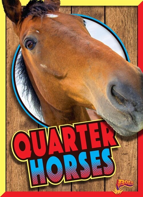 Quarter Horses (Paperback)