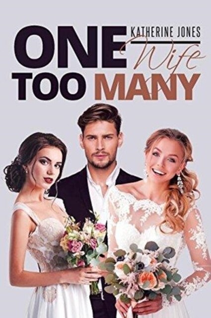 One Wife Too Many (Paperback)