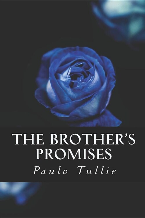 The Brothers Promises (Paperback)
