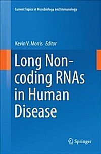Long Non-Coding Rnas in Human Disease (Paperback)