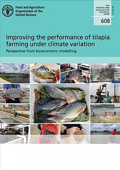Improving the Performance of Tilapia: Perspective from Bioeconomic Modelling (Paperback)