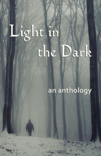 Light in the Dark (Paperback)