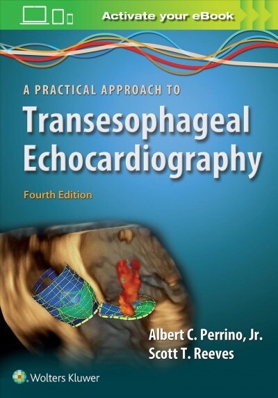 A Practical Approach to Transesophageal Echocardiography (Paperback, 4)