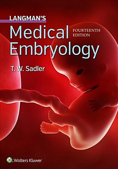 Langmans Medical Embryology (Paperback, 14)