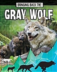 Bringing Back the Gray Wolf (Library Binding)