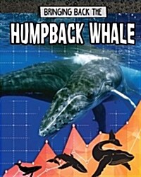 Bringing Back the Humpback Whale (Library Binding)