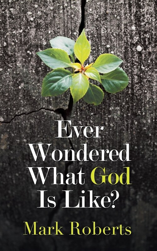 Ever Wondered What God Is Like? (Paperback)