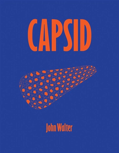 John Walter: CAPSID (Paperback)