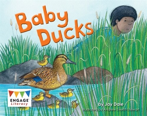 Baby Ducks (Paperback)