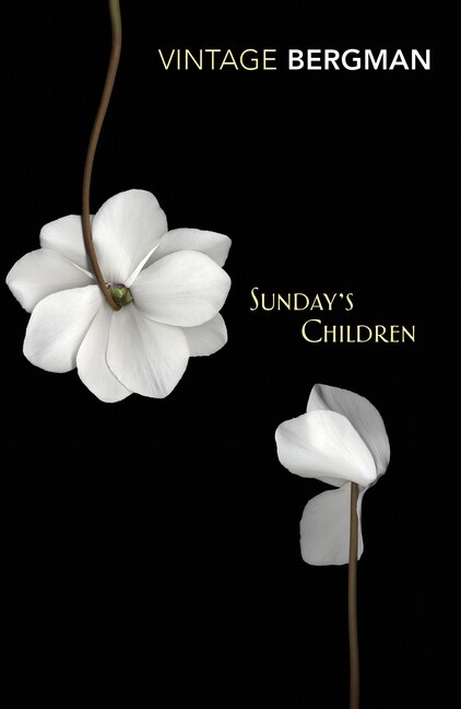 Sundays Children (Paperback)