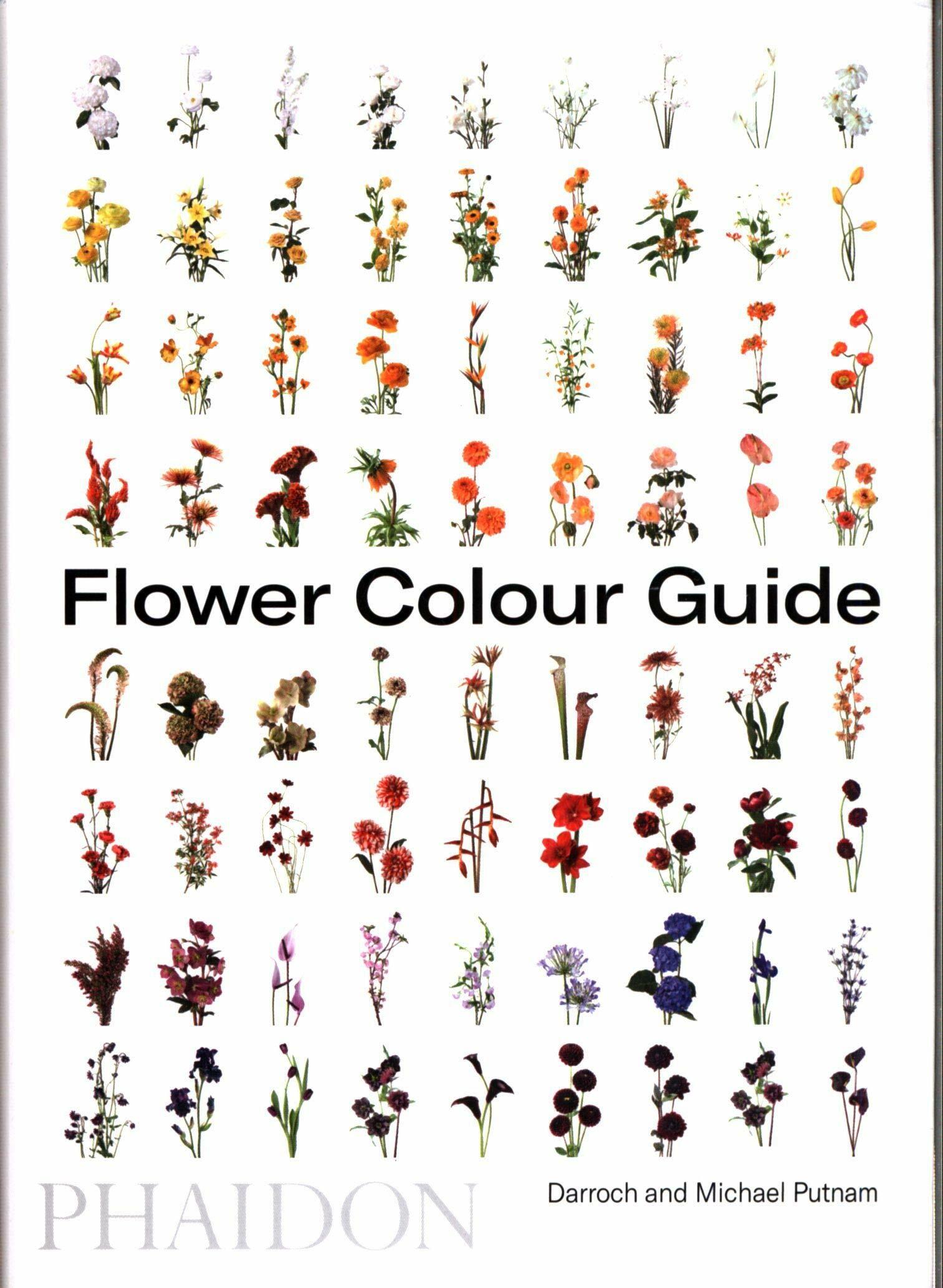 Flower Colour Guide (Paperback)