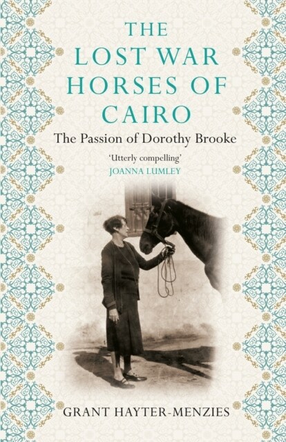 The Lost War Horses of Cairo : The Passion of Dorothy Brooke (Paperback)