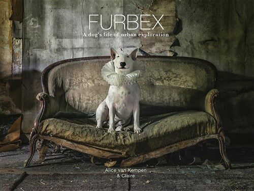 Furbex : A Dog’s Life of Urban Exploration (Hardcover)