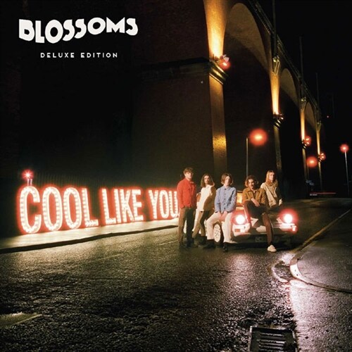 [수입] Blossoms - Cool Like You [LP]