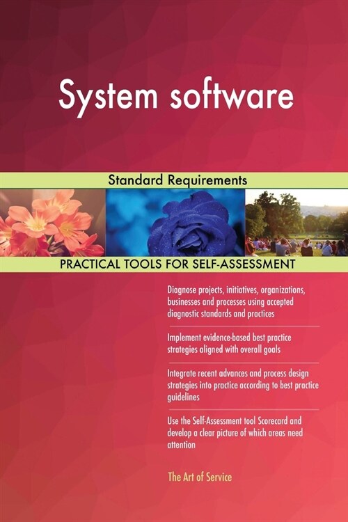 System Software Standard Requirements (Paperback)
