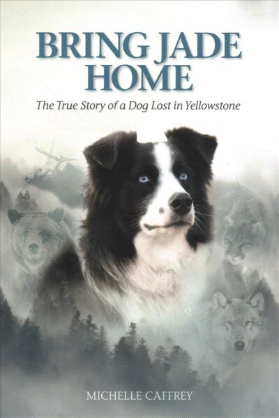 Bring Jade Home: The True Story of a Dog Lost in Yellowstone (Paperback)