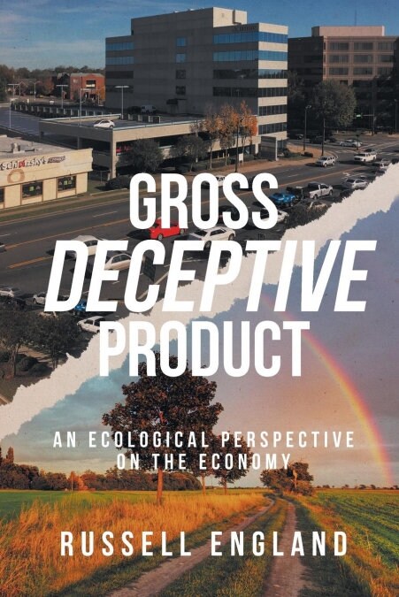 Gross Deceptive Product: An Ecological Perspective on the Economy (Paperback)