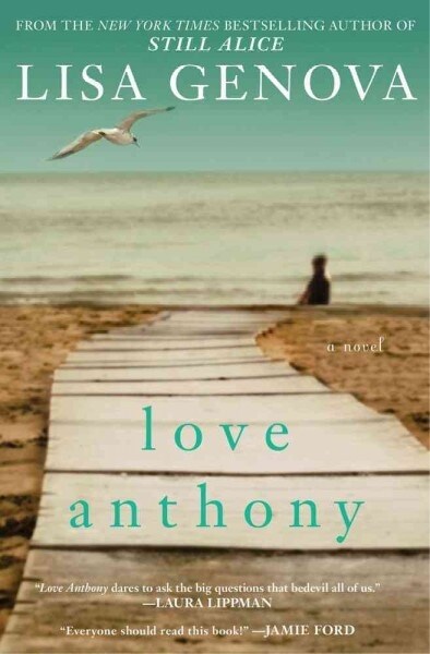 Love Anthony (Paperback, Export)